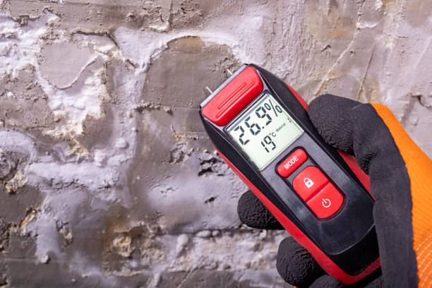 Best Commercial Mold Removal  in Homedale, ID
